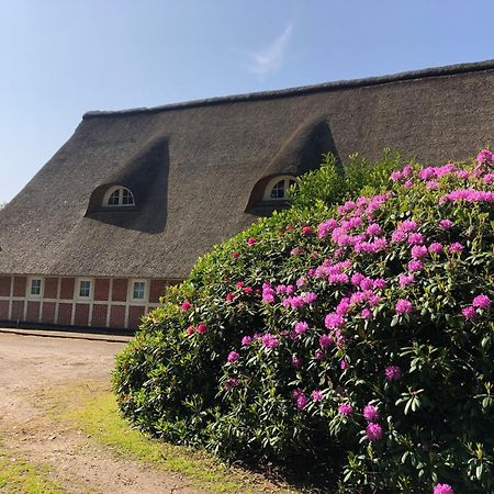 Ferienwohnungen Unter den Eichen Stade Exterior foto